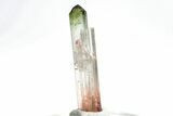 Bi-Colored Elbaite Tourmaline Crystal - Rubaya, DR Congo #206899-1